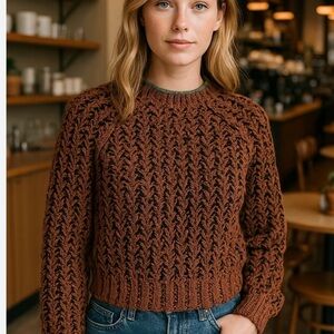 Wilfred confetti brown black cozy roll neck knit sweater large